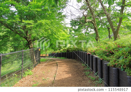 東京都、多摩市、櫻丘公園 115548917