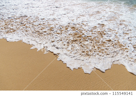 A wave crashing onto a sandy beach with water, wood, grass, and soil elements 115549141