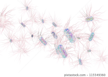 沙門氏菌等有害細菌的插圖(電腦圖形:透明材料) 沙門氏菌等有害細菌的插圖(電腦圖形:透明材料) 115549360