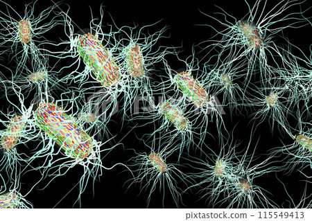沙門氏菌等有害細菌的插圖（電腦圖形：黑色背景材料） 115549413