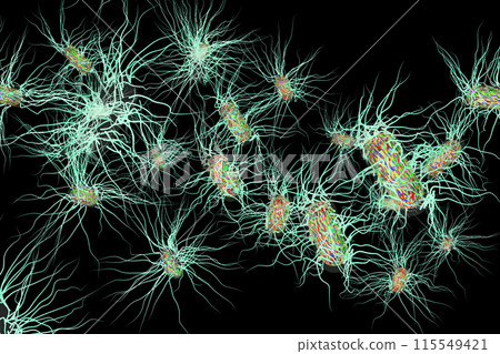 沙門氏菌等有害細菌的插圖(電腦圖形:黑色背景材料) 沙門氏菌等有害細菌的插圖(電腦圖形:黑色背景材料) 115549421