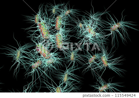 沙門氏菌等有害細菌的插圖（電腦圖形：黑色背景材料） 115549424