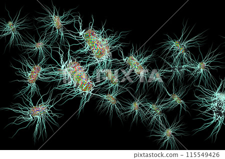 沙門氏菌等有害細菌的插圖(電腦圖形:黑色背景材料) 沙門氏菌等有害細菌的插圖(電腦圖形:黑色背景材料) 115549426