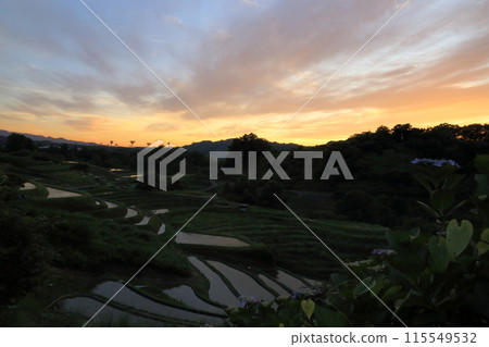 Shimoakasaka Rice Terraces (One of Japan's 100 Best Rice Terraces) / Chihayaakasaka Village, Osaka Prefecture 115549532