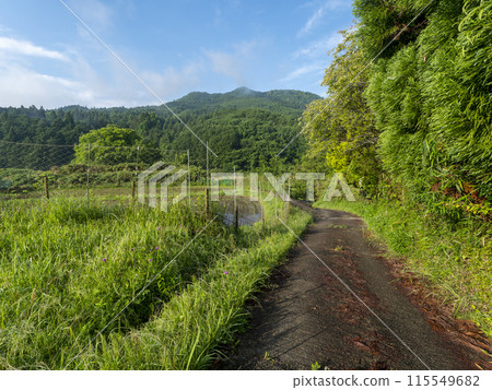 里山風景與梯田 115549682