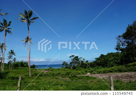 Scenery of Efate Island, Vanuatu 115549745