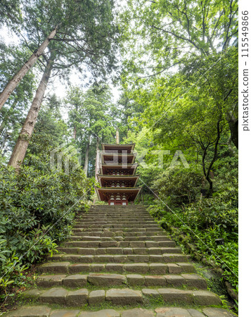 初夏綠意盎然的室寺五層寶塔 115549866