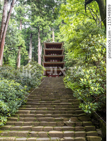 初夏綠意盎然的室寺五層寶塔 初夏綠意盎然的室寺五層寶塔 115549869