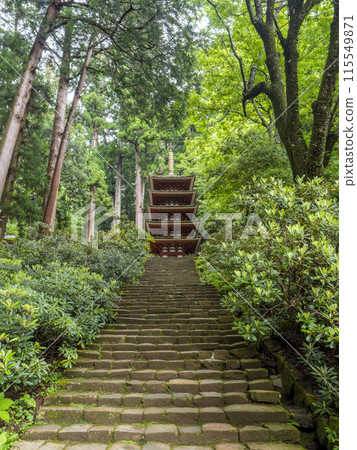 Muroji Temple's five-story pagoda covered in fresh greenery in early summer 115549871
