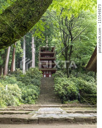 Muroji Temple's five-story pagoda covered in fresh greenery in early summer 115549873