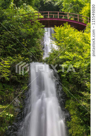 Goho Falls and Red Bridge Goho Falls and Red Bridge 115549880