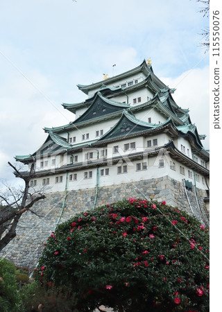 You can also encounter deer feeding in the dry moat at Nagoya Castle. 115550076
