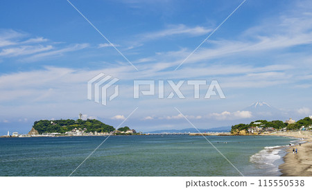 Beautiful scenery along the coast (Shichirigahama, Inamuragasaki, Koshigoe) (early summer with Mt. Fuji in view) 115550538