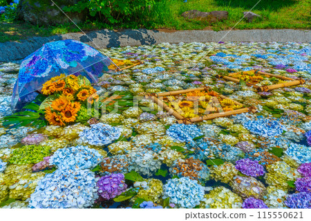 Hydrangea Pond Hydrangea Festival Kaisei Town Hydrangea Village Kanagawa Prefecture Kaisei Town 115550621