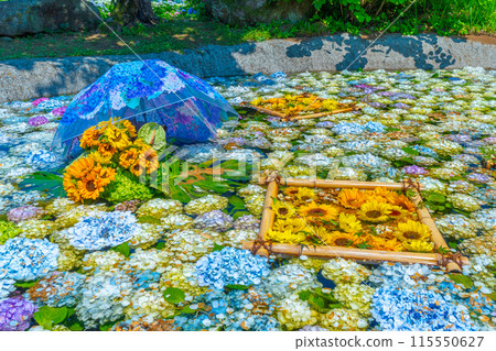 紫陽花池 紫陽花節 神奈川縣開成町紫陽花村 115550627