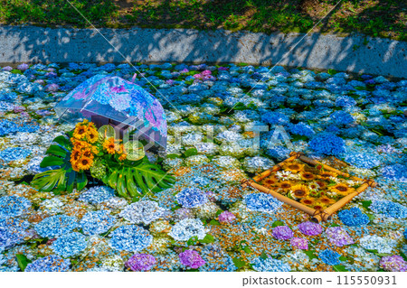 紫陽花池 紫陽花節 神奈川縣開成町紫陽花村 紫陽花池 紫陽花節 神奈川縣開成町紫陽花村 115550931
