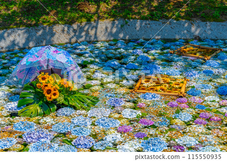 紫陽花池 紫陽花節 神奈川縣開成町紫陽花村 115550935