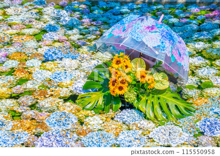 紫陽花池 紫陽花節 神奈川縣開成町紫陽花村 115550958