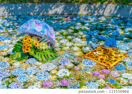Hydrangea Pond Hydrangea Festival Kaisei Town Hydrangea Village Kanagawa Prefecture Kaisei Town Hydrangea Pond Hydrangea Festival Kaisei Town Hydrangea Village Kanagawa Prefecture Kaisei Town 115550968