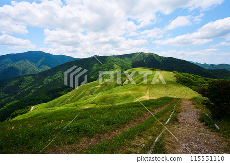 A hiking trail along the ridge of Mt. Hachibuse 115551110