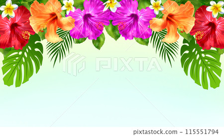 Hibiscus and Plumeria Summer Background 16:9 Hibiscus and Plumeria Summer Background 16:9 115551794