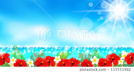 Sea, blue sky, hibiscus background 115551992