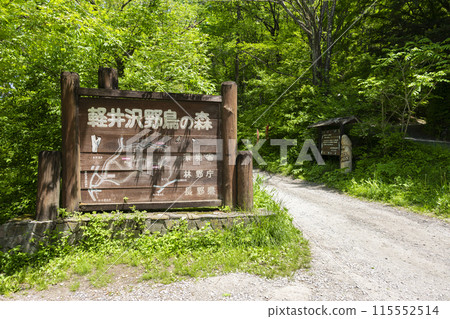 輕井澤野生鳥類森林 輕井澤野生鳥類森林 115552514