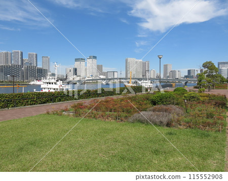 從江東區豐洲Gururi公園眺望的景色（東京晴空塔、豐洲大橋、Triton廣場、晴海旗等） 115552908