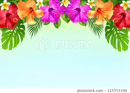 Hibiscus and plumeria summer frame background Hibiscus and plumeria summer frame background 115553199