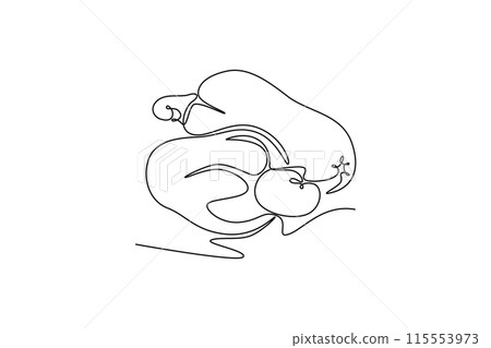 Single continuous line drawing two whole healthy organic cashew apple for orchard logo identity. Fresh Brazil caju concept for fruitage garden. Dynamic one line draw graphic design vector illustration Single continuous line drawing two whole healthy organic cashew apple for orchard logo identity. Fresh Brazil caju concept for fruitage garden. Dynamic one line draw graphic design vector illustration 115553973