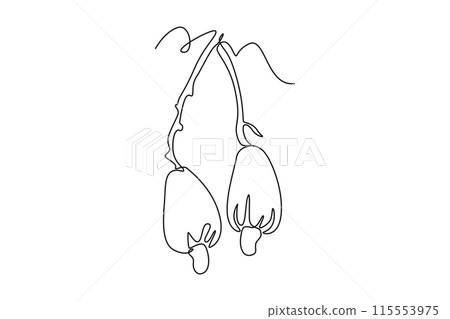 Single one line drawing whole healthy organic cashew apple for orchard logo identity. Fresh tropical fruitage concept for fruit garden. Modern continuous line draw design graphic vector illustration Single one line drawing whole healthy organic cashew apple for orchard logo identity. Fresh tropical fruitage concept for fruit garden. Modern continuous line draw design graphic vector illustration 115553975