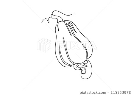 Single one line drawing whole healthy organic cashew apple for orchard logo identity. Fresh Brazilian caju concept for fruit garden icon. Modern continuous line draw design graphic vector illustration Single one line drawing whole healthy organic cashew apple for orchard logo identity. Fresh Brazilian caju concept for fruit garden icon. Modern continuous line draw design graphic vector illustration 115553978