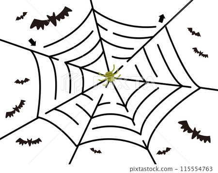Spider Web Maze 115554763