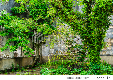 Katashima Torpedo Launch Site Site [Kawatana-cho, Higashisonogi-gun, Nagasaki] 115555017