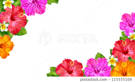 Hibiscus and plumeria summer frame background 16:9 Hibiscus and plumeria summer frame background 16:9 115555109