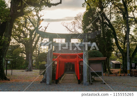 Torii gates at small temple of Mihashira Shrine in sunset, Yanagawa 115555265