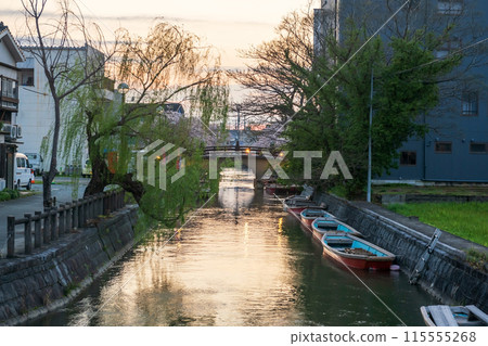 Boat on Suigo river and bridge to Mihashira Shrine at sunset, Yanagawa Boat on Suigo river and bridge to Mihashira Shrine at sunset, Yanagawa 115555268