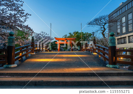bridge with light up to Torii gate of Mihashira Shrine at night, Yanagawa bridge with light up to Torii gate of Mihashira Shrine at night, Yanagawa 115555271