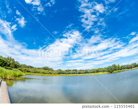 Iimoriyama Park in Sakata City, Yamagata Prefecture - A refreshing view of the blue sky and water surface taken with a diagonal fisheye lens Iimoriyama Park in Sakata City, Yamagata Prefecture - A refreshing view of the blue sky and water surface taken with a diagonal fisheye lens 115555401
