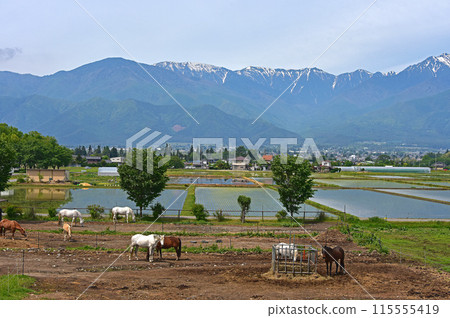 Shinshu in May: Hakuba and the Northern Alps Shinshu in May: Hakuba and the Northern Alps 115555419