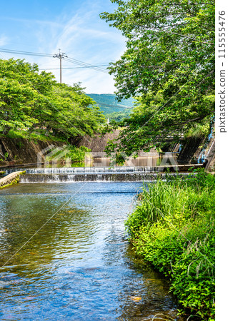 鮮綠的琴米根川【長崎市】 115555476