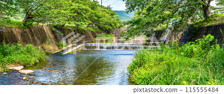 鮮綠的琴見根川全景【長崎市】 115555484