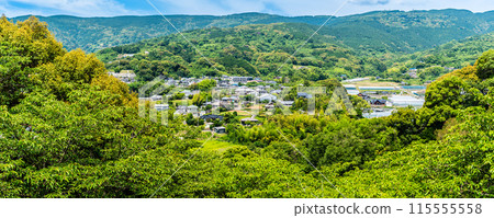 鮮綠的江東海中央公園全景【長崎市】 115555558