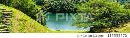 Panorama of fresh greenery at Kinkai Central Park [Nagasaki City] 115555570