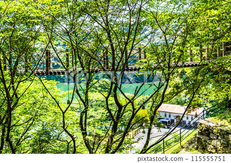 鮮綠的江東海中央公園、森林吊橋【長崎市】 115555751