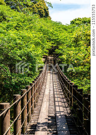 Kinkai Central Park with fresh greenery: Suspension bridge in the forest [Nagasaki City] 115555753