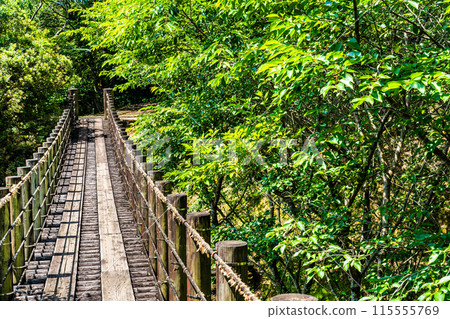 Kinkai Central Park with fresh greenery: Suspension bridge in the forest [Nagasaki City] 115555769