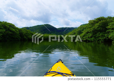 在沖繩縣西表島劃獨木舟穿越紅樹林河流 115555771