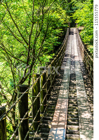 Kinkai Central Park with fresh greenery: Suspension bridge in the forest [Nagasaki City] 115555779