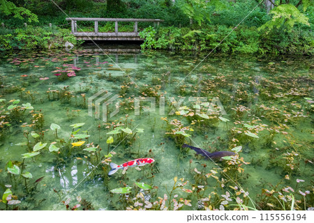無名池（通稱莫內池）（岐阜縣關市板取） 115556194